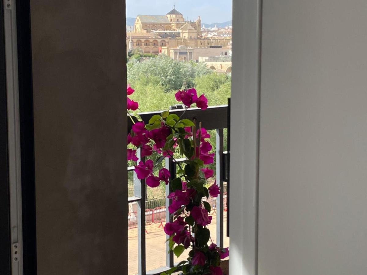 Loft Sotos De La Albolafia Daire Cordoba Dış mekan fotoğraf